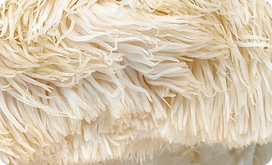 Lions Mane