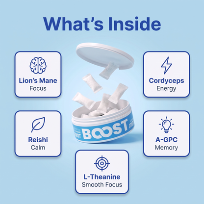 Boost - Nootropic Energy Pouches